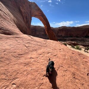 Meet your Posher, AP